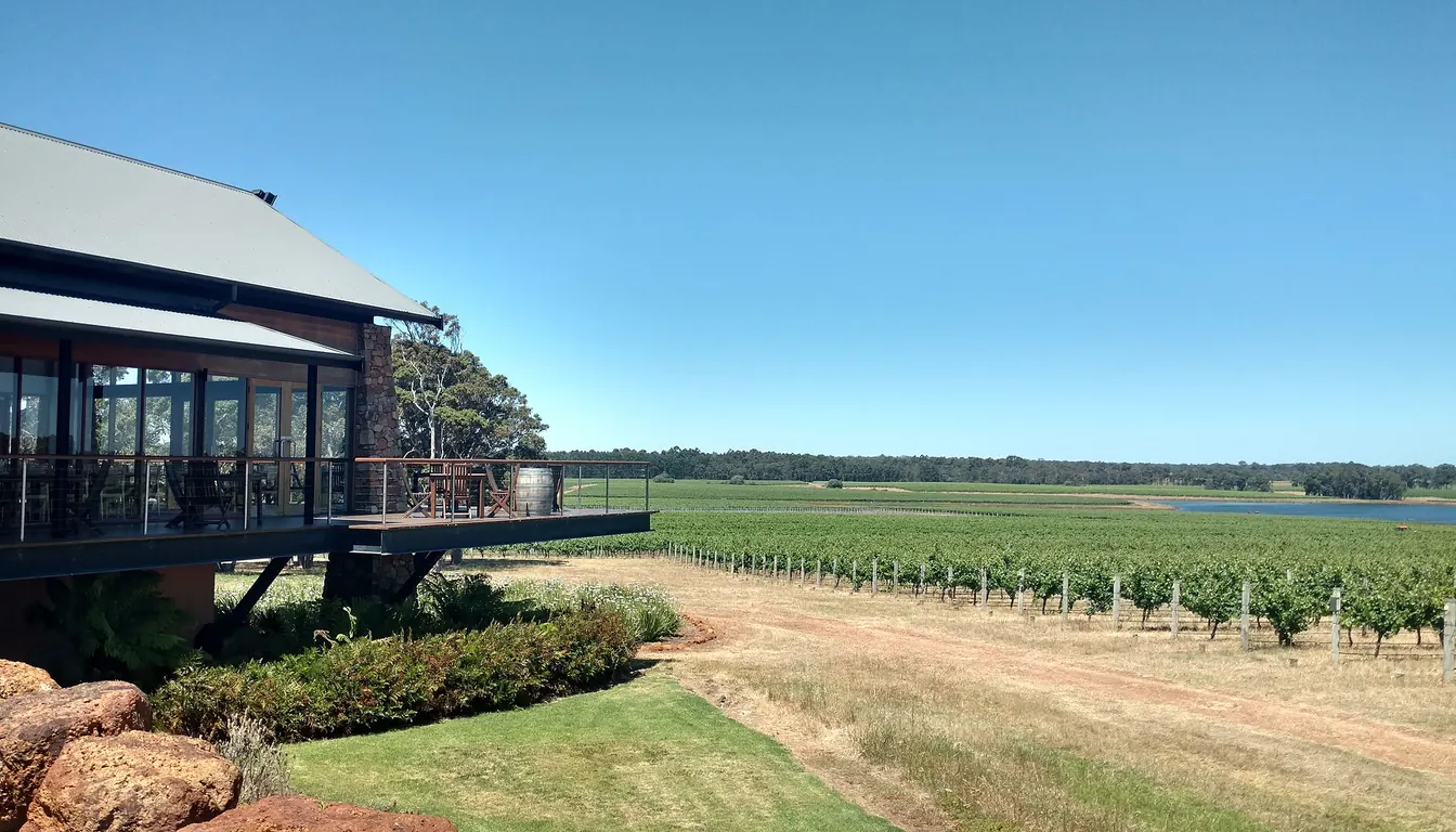 Vineyard rows in the Margaret River wine region